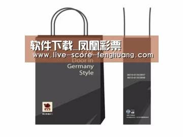 项目名称十四