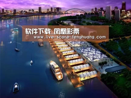案例展示八